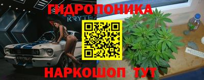 шишки Бугуруслан
