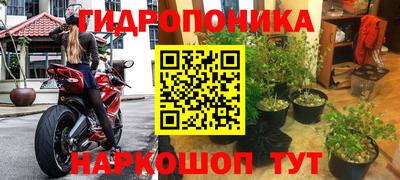 шишки Бугуруслан