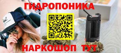 шишки Бузулук